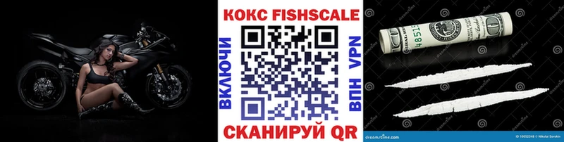 Кокаин FishScale  где можно купить наркотик  omg как зайти  Дигора 