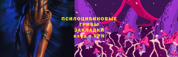 сатива Болохово