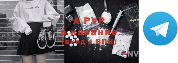 прущие грибы Зеленокумск