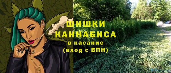 MESCALINE Гусев