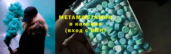 сатива Болохово