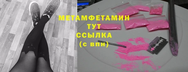 сатива Болохово