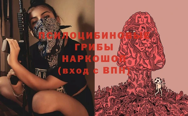 стафф Болотное