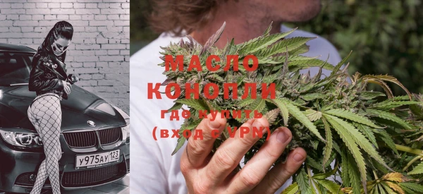 сатива Болохово
