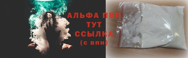 сатива Болохово