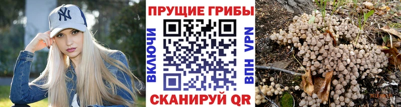 ссылка на мегу онион  Дигора  Псилоцибиновые грибы прущие грибы  где купить наркотик 
